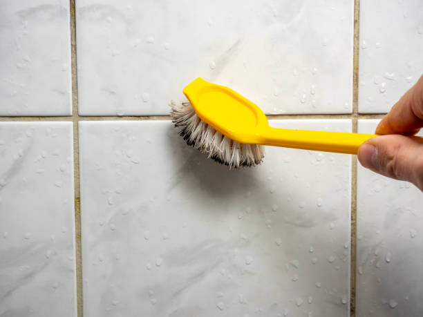  Lumbine, CO Mold Removal Pros