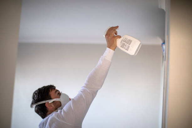 Best Fast Mold Removal  in Lumbine, CO
